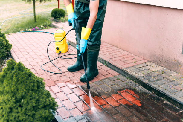 Best Driveway Pressure Washing  in Friendship Heights Village, MD